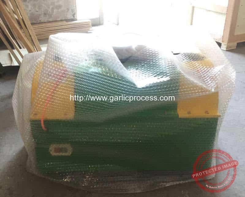 Garlic-Root-and-Leaf-Cutting-Machine-Ready-for-Korea-Customer